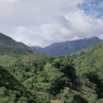 महाकाल से कूनो तक का रेल सफर होगा आसान; नागदा-मथुरा रेल लाइन से MP पर्यटन को मिलेगी रफ्तार : CM मोहन